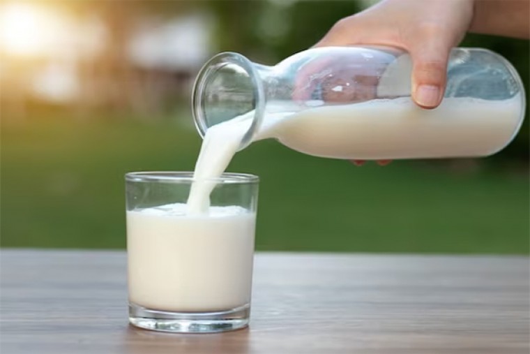 milk adulteration: खुला पनीर, दूध और घी खरीदने वाले सावधान, गाजियाबाद में आधे से ज्‍यादा नामूने फेल